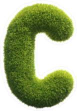 Spiky Grass Font Letter C Sticker
