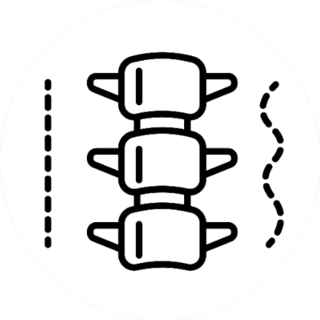 Spine Bones And Structure Chiropractor Sticker