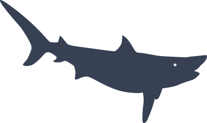 Spirited Shark Sticker