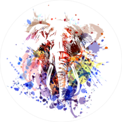 Splatter Color Elephant Sticker