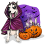 Spooky Husky Sticker