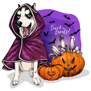 Spooky Husky Sticker