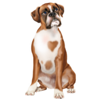 Spotted Boxer Sticker