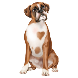 Spotted Boxer Sticker