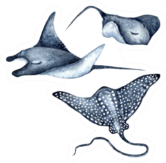 Spotted Eagle Ray, Stingray, Manta Ray Watercolor Sticker