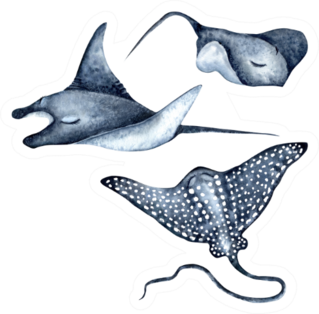 Spotted Eagle Ray, Stingray, Manta Ray Watercolor Sticker