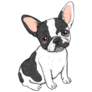 Spotted Frenchie Sitting Sticker