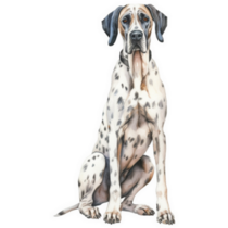 Spotted Great Dane Sticker