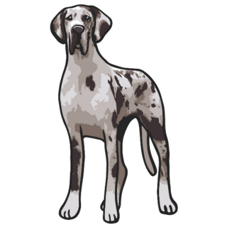 Spotted Great Dane Sticker