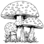 Spotted Mushrooms Vintage Sketch Sticker