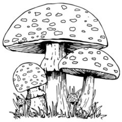 Spotted Mushrooms Vintage Sketch Sticker