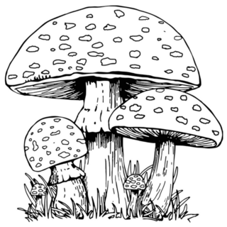 Spotted Mushrooms Vintage Sketch Sticker