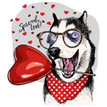 Spread Love Husky Sticker
