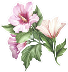 Sprig Of Hibiscus Watercolor Sticker