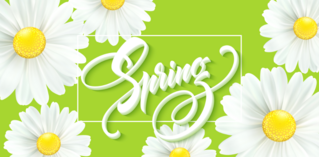 Spring Daisies Sticker