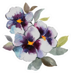 Spring Flowers Pansies And Leaves Watercolor Illustration