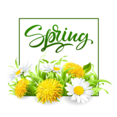 Spring Flowers Sticker