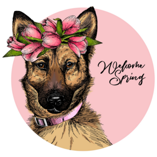 Spring German Shepherd Sticker