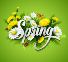 Spring Text With Flowers Stickers