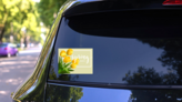 Spring Text With Tulips Sticker on a Rear Car Window (New) example