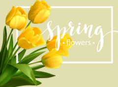 Spring Text With Tulips Sticker