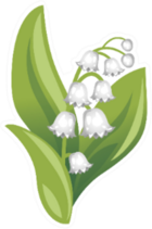 Spring White Flower Lily Of The Valley Sticker