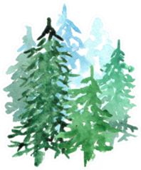 Spruce Grove In Blue And Green Sticker