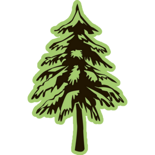 Spruce On Green Sticker