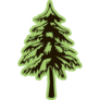 Spruce On Green Sticker