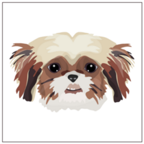 Square Shih Tzu Sticker