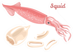 Squid Fresh Seafood, Raw Squid Fillet Ready For Cooking Sticker