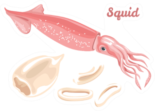 Squid Fresh Seafood, Raw Squid Fillet Ready For Cooking Sticker