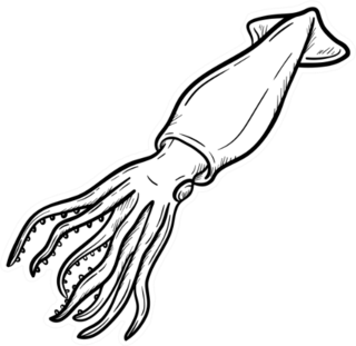 Squid Hand Drawn Outline Doodle Icon Sticker