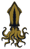 Squid Illustration Isolated In White Sticker