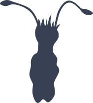 Squid Swimming Down Sticker