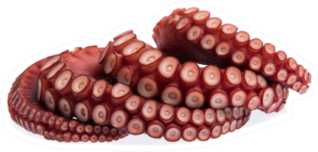 Squid Tentacles On Dish Sticker