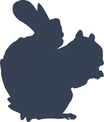 Squirrel Eating Nut Sticker