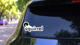 Squirrel Logo Lettering Design Sticker on a Rear Car Window (New) example