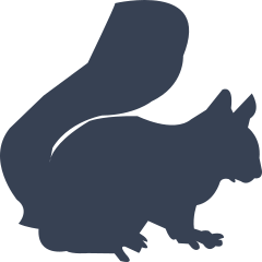 Squirrel Sitting On All Four Legs Sticker