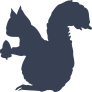 Squirrel With Acorn Sticker