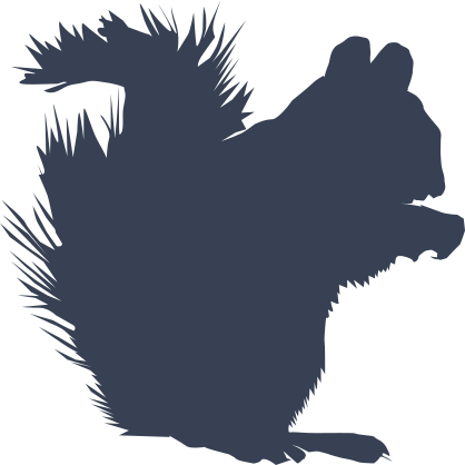 Squirrel With Fuzzy Tail Sticker