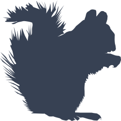 Squirrel With Fuzzy Tail Sticker