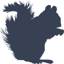 Squirrel With Fuzzy Tail Sticker