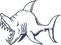 Squished Shark With Large Teeth Sticker