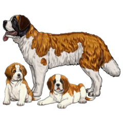 St Bernard Family Sticker