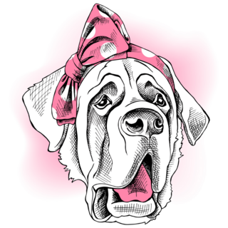 St. Bernard In Headband Sticker