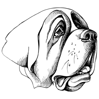 St. Bernard Profile Sticker