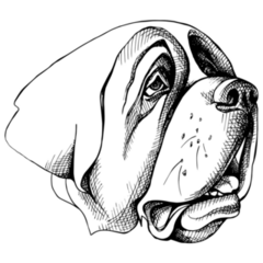 St. Bernard Profile Sticker