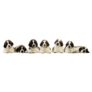 St Bernard Puppies Sticker