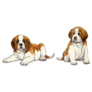 St. Bernard Puppies Sticker